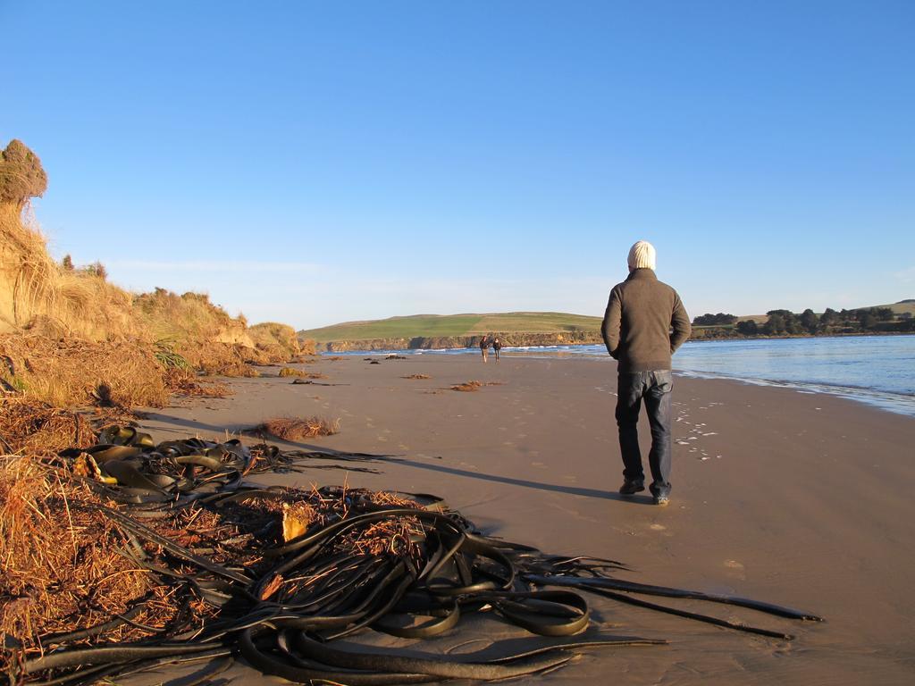 Catlins Newhaven Holiday Park Owaka Quarto foto