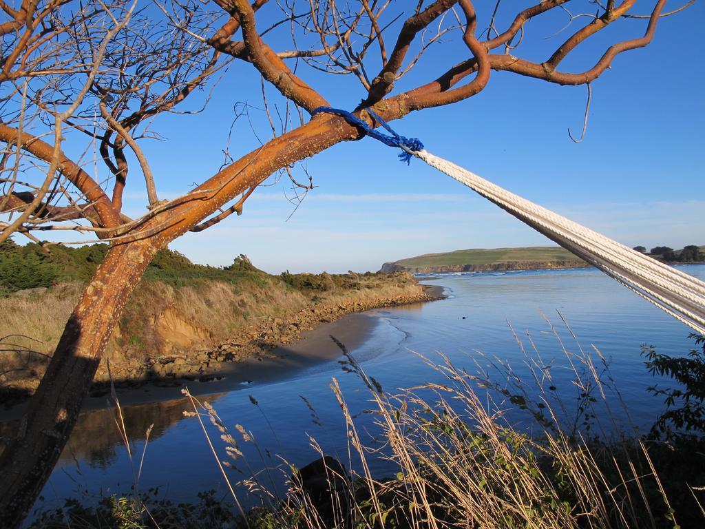 Catlins Newhaven Holiday Park Owaka Quarto foto