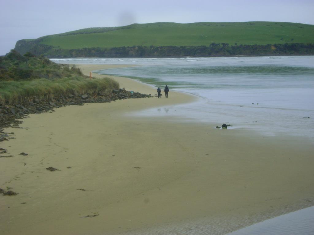 Catlins Newhaven Holiday Park Owaka Exterior foto
