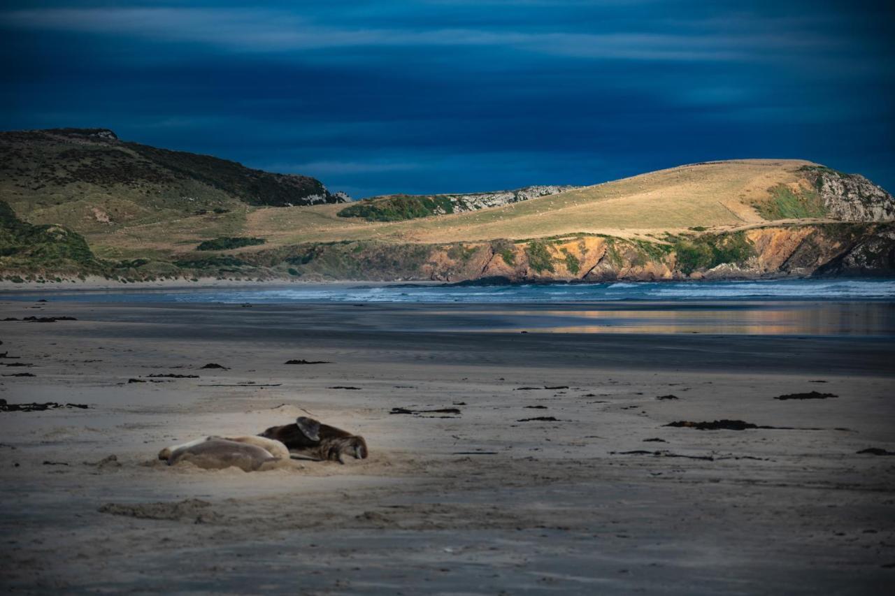 Catlins Newhaven Holiday Park Owaka Exterior foto